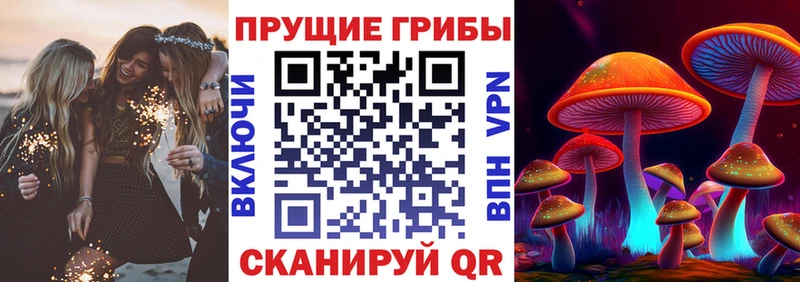 Купить  Черкесск  Галлюциногенные грибы GOLDEN TEACHER 